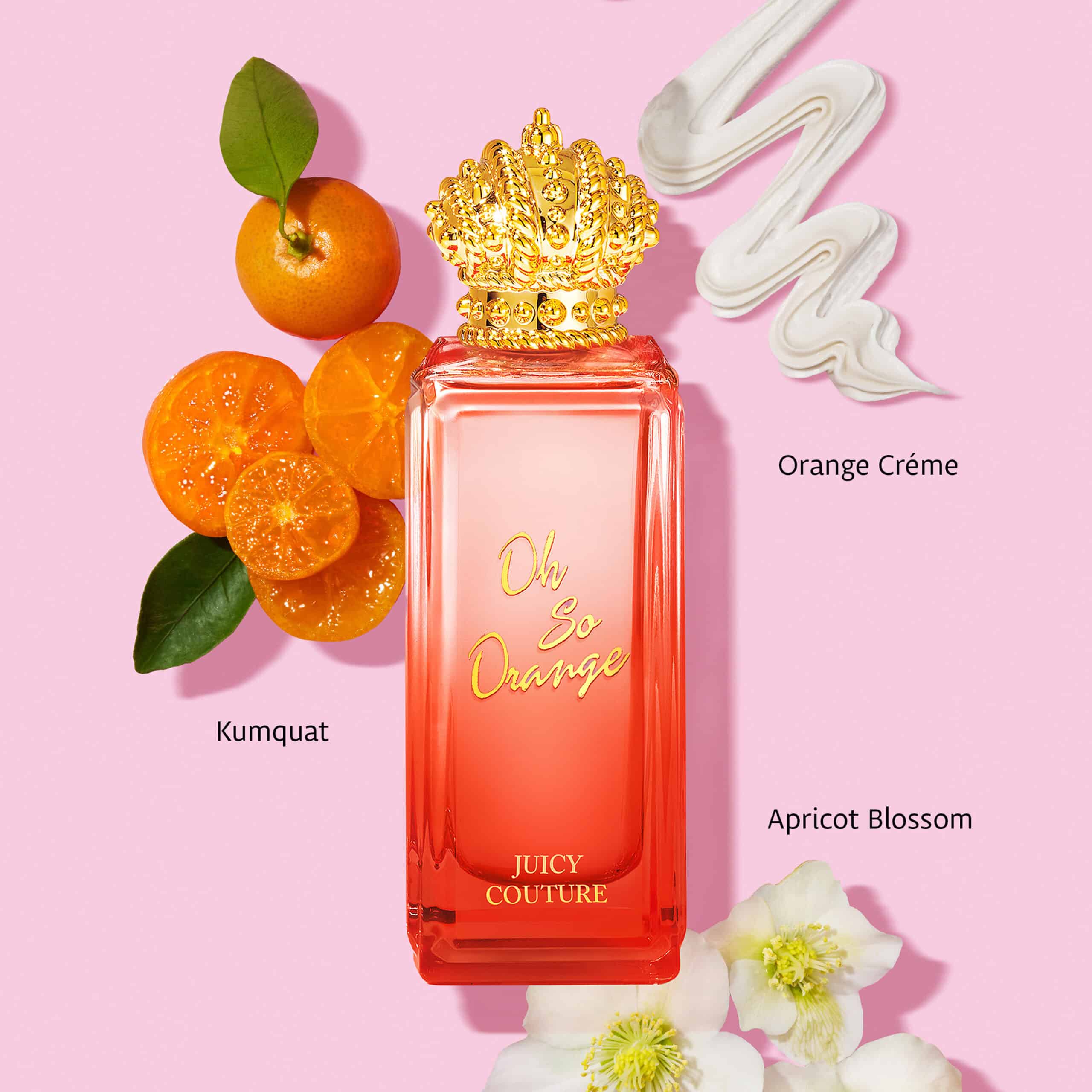 61862-JCMassATF-OhSoOrangeMassEDPIngredients_1x1