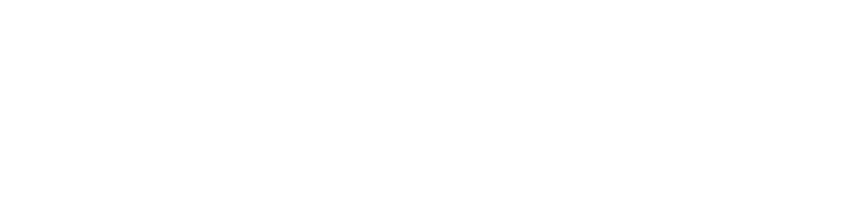 Logo Flex_Branco