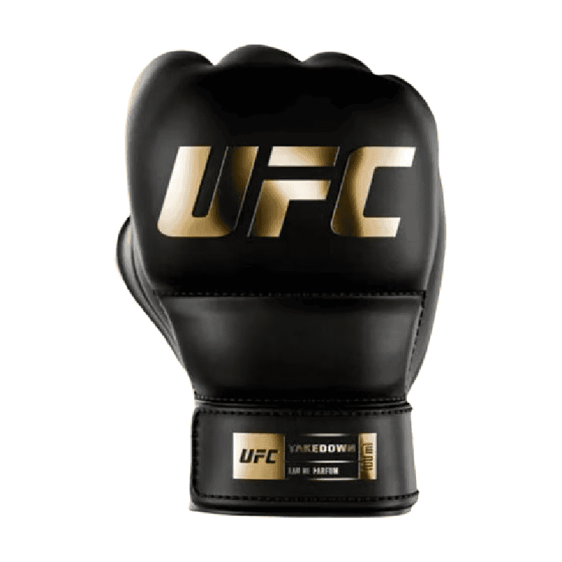 UFC_Takedown_Frente